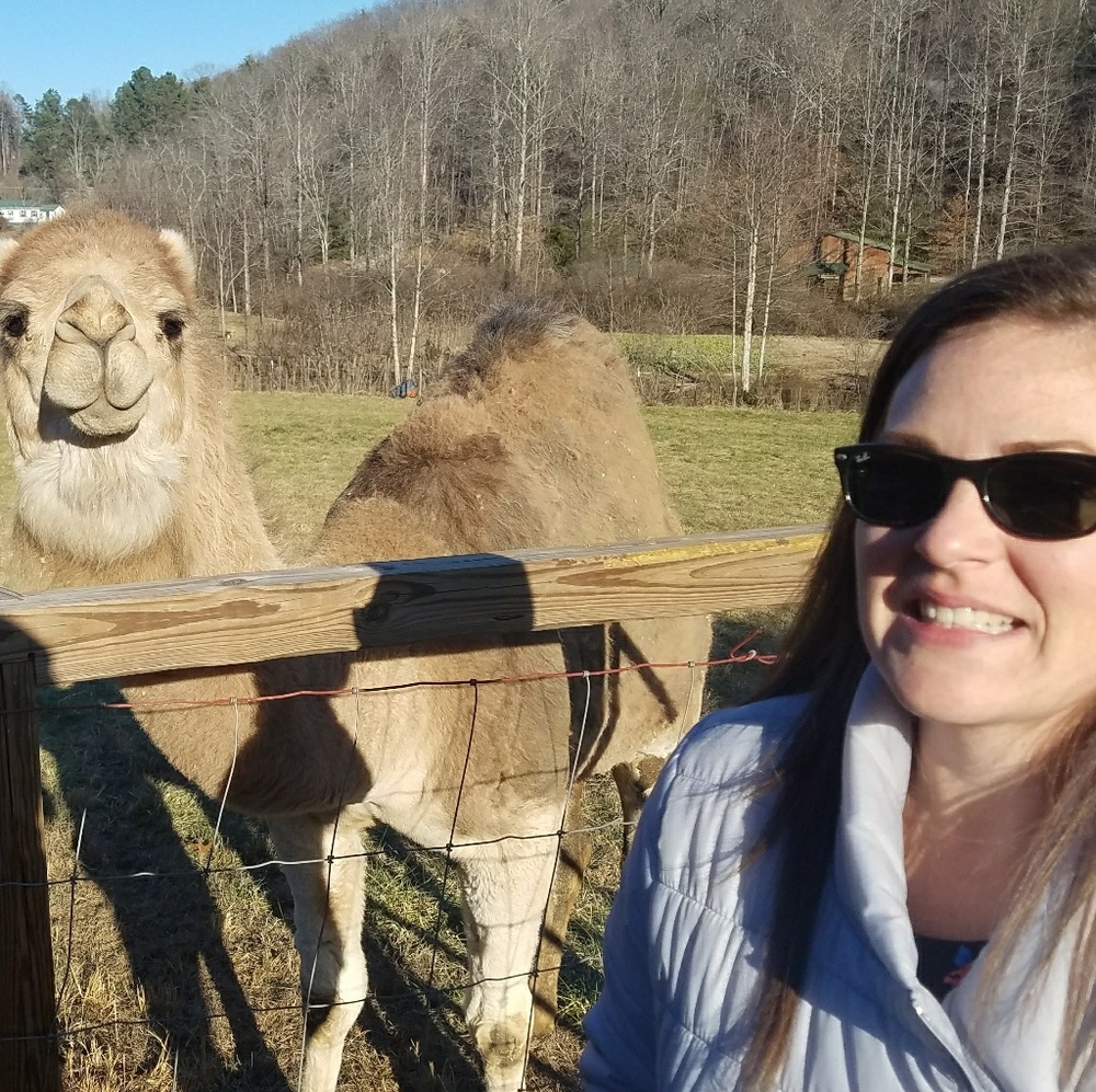 Meet your Posher, Lindsey